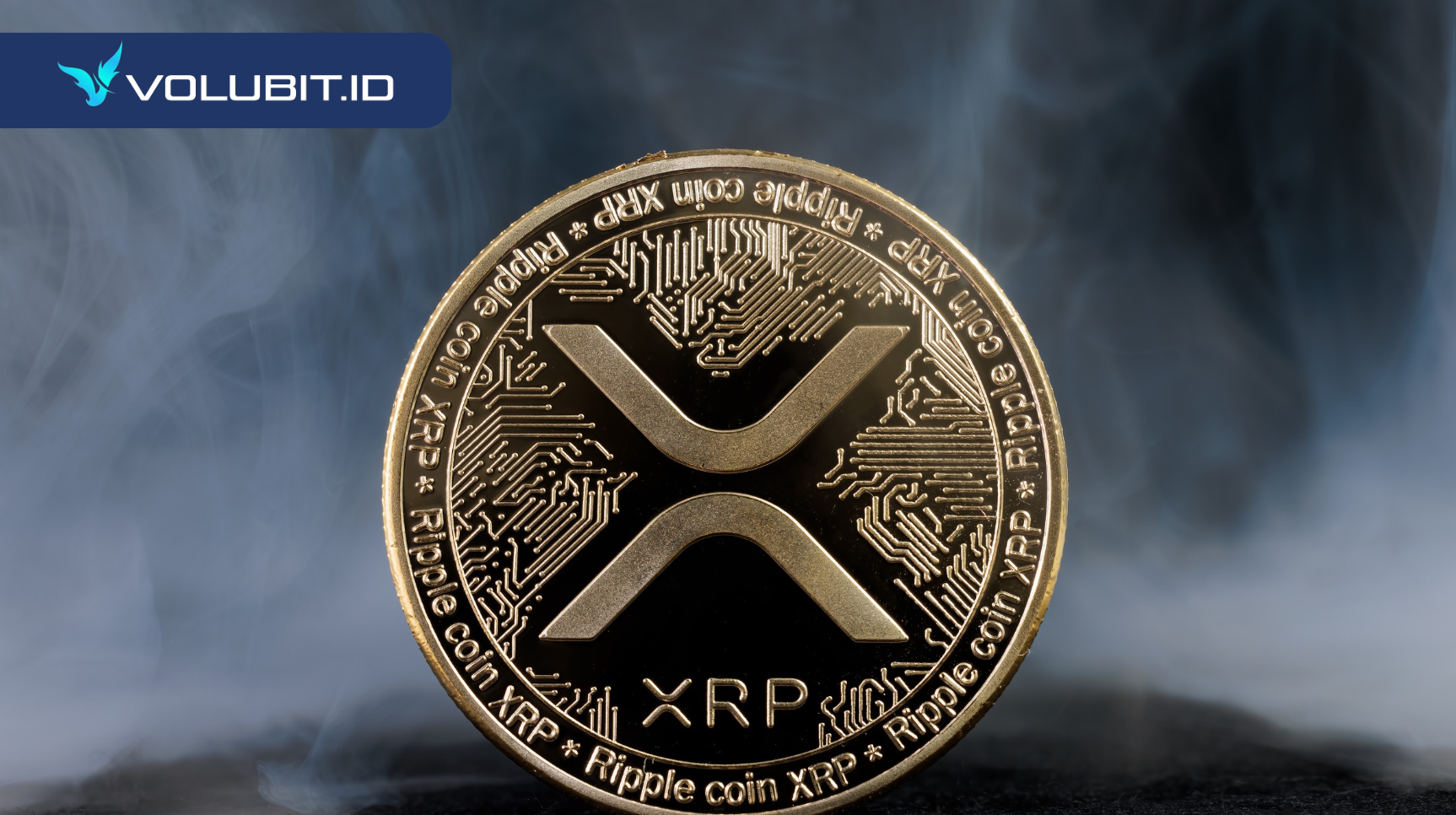 Glassnode Ungkap XRP Jadi Aset Favorit Investor Ritel - VOLUBIT